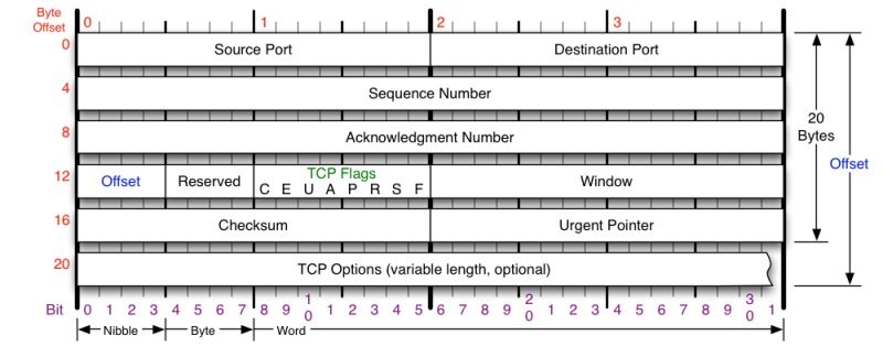 TCP Header